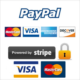 Payment Options VISA, PayPal